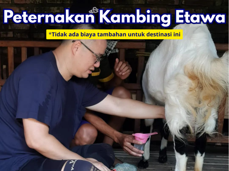 destinasi 11.png