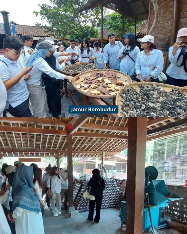 mengenal lebih dekat desa wisata wanurejo 🌿mahasiswa pariwisata usahid berkesempatan berdiskus.webp