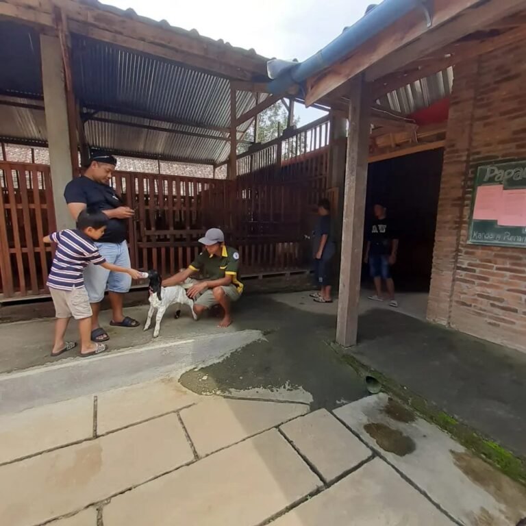 whatsapp image 2026 09 04 at 22.23.36.jpeg
