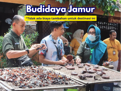 Home destinasi