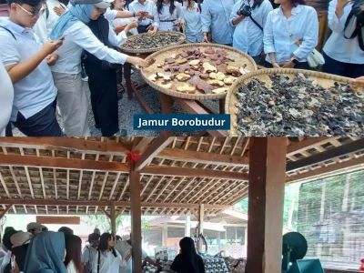 Home Mengenal Lebih Dekat Desa Wisata Wanurejo 🌿Mahasiswa Pariwisata Usahid Berkesempatan Berdiskus Rrtq28pgz3ckjlfadh5fgjxc9h0xoip0asimt545vc